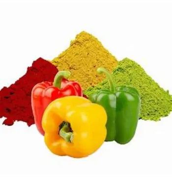Fresh Capsicum Powder